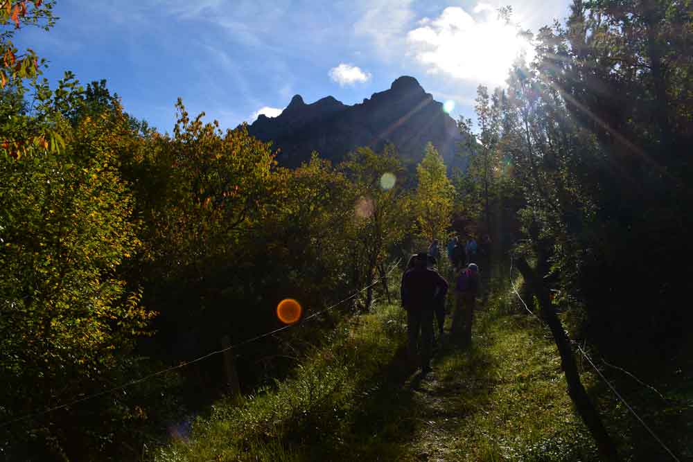 mount bugarach where essene community settled