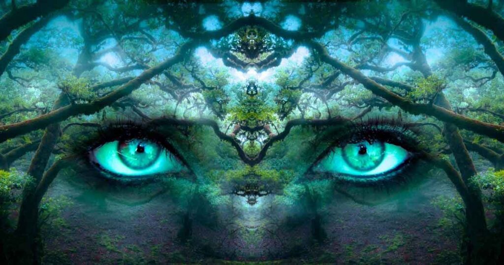 channeling book