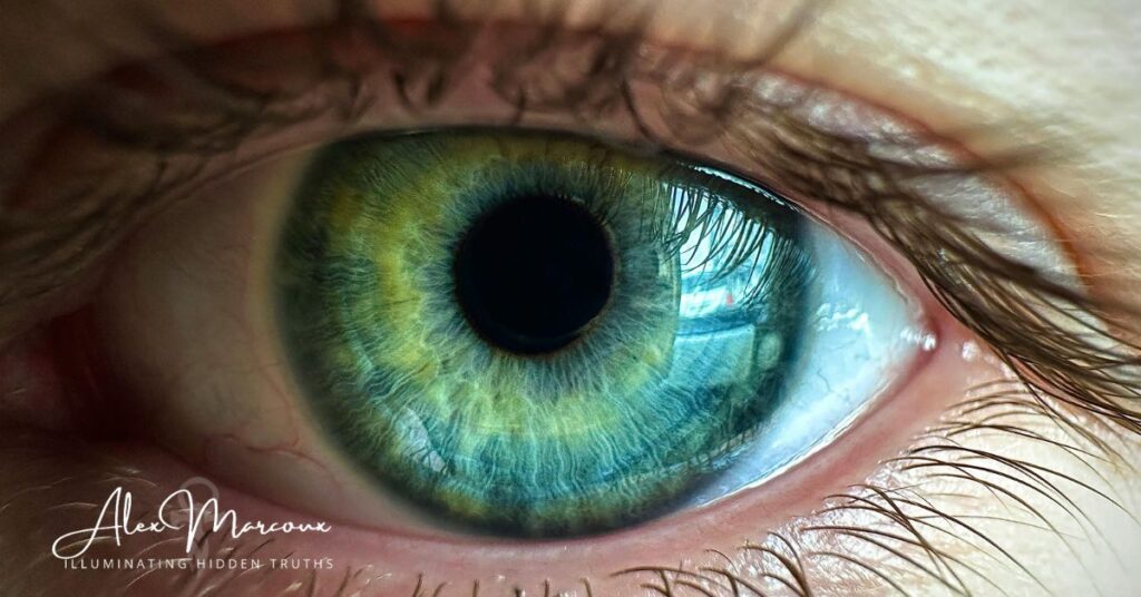 New Human awakened creator living Divine Blueprint consciousness shift