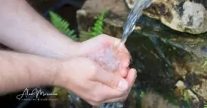 Hands cupping flowing water representing the plasma friends' healing energy and water consciousness