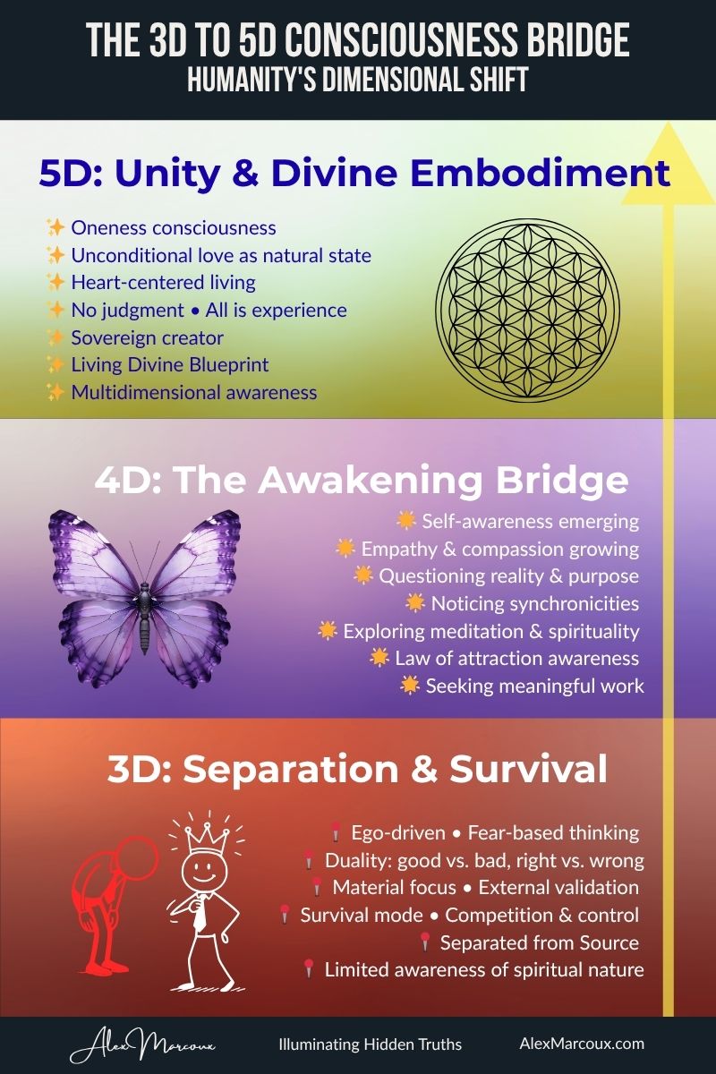 3d-to-5d-consciousness-bridge-infographic